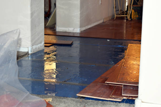 Professional Water Damage Restoration technician working in Milton, WV